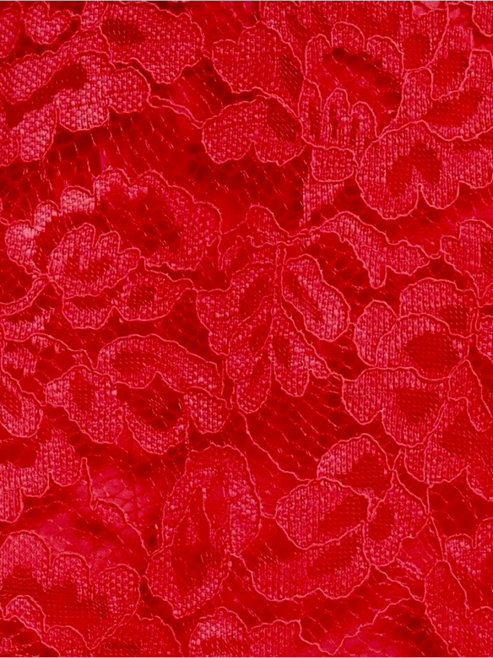 Tahari ASL Scallop Hem Raspberry Lace Fit & Flare Dress Size 10 MSRP $159 NWOT - Picture 6 of 8